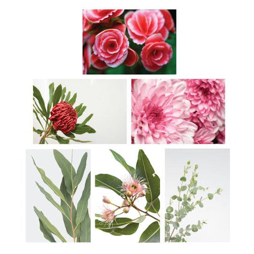 Jovic Trading Canvas Native Gems Set of 6 | Accessories | app store dev @@ABC ///[option4] 十月五日 11:53 