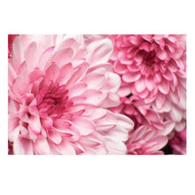 Load image into Gallery viewer, Jovic Trading Canvas Native Gems Set of 6 | Accessories | app store dev @@ABC ///[option4] 十月五日 11:53 
