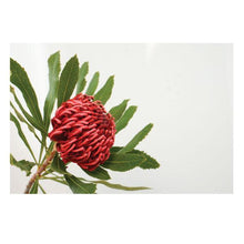 Load image into Gallery viewer, Jovic Trading Canvas Native Gems Set of 6 | Accessories | app store dev @@ABC ///[option4] 十月五日 11:53 
