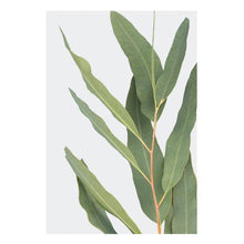 Load image into Gallery viewer, Jovic Trading Canvas Native Gems Set of 6 | Accessories | app store dev @@ABC ///[option4] 十月五日 11:53 
