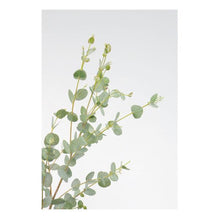 Load image into Gallery viewer, Jovic Trading Canvas Native Gems Set of 6 | Accessories | app store dev @@ABC ///[option4] 十月五日 11:53 
