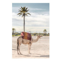 Load image into Gallery viewer, Jovic Trading Canvas Wild &amp; Free Set of 6 | Accessories | app store dev @@ABC ///[option4] 十月五日 11:53 
