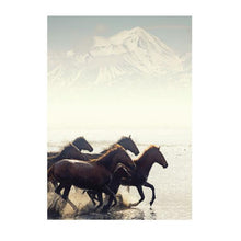 Load image into Gallery viewer, Jovic Trading Canvas Wild &amp; Free Set of 6 | Accessories | app store dev @@ABC ///[option4] 十月五日 11:53 
