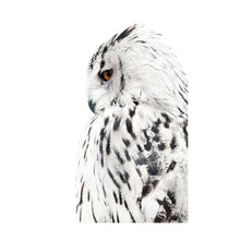 Load image into Gallery viewer, Jovic Trading Canvas Wild &amp; Free Set of 6 | Accessories | app store dev @@ABC ///[option4] 十月五日 11:53 
