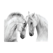 Load image into Gallery viewer, Jovic Trading Canvas Wild &amp; Free Set of 6 | Accessories | app store dev @@ABC ///[option4] 十月五日 11:53 
