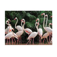 Load image into Gallery viewer, Jovic Trading Canvas Wild &amp; Free Set of 6 | Accessories | app store dev @@ABC ///[option4] 十月五日 11:53 
