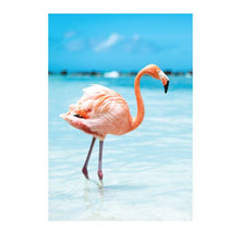 Load image into Gallery viewer, Jovic Trading Canvas Wild &amp; Free Set of 6 | Accessories | app store dev @@ABC ///[option4] 十月五日 11:53 
