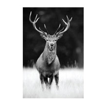 Load image into Gallery viewer, Jovic Trading Canvas World Traveller Set of 6 | Accessories | app store dev @@ABC ///[option4] 十月五日 11:53 
