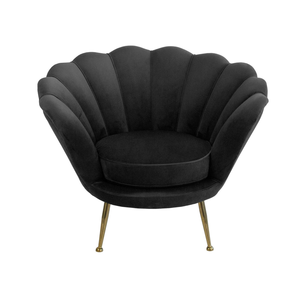 Darcy & Duke Black Shell Armchair | Living | app store dev @@ABC ///[option4] 十月五日 11:53 