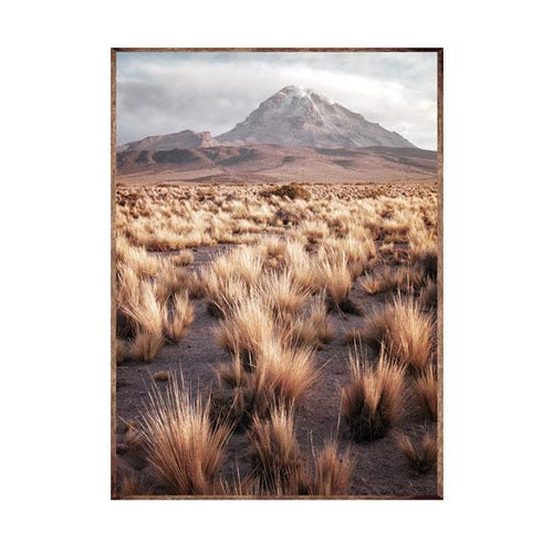 Jovic Trading Dry Grass Valley Framed Canvas Wood Grain Colour | Accessories | app store dev @@ABC ///[option4] 十月五日 11:53 