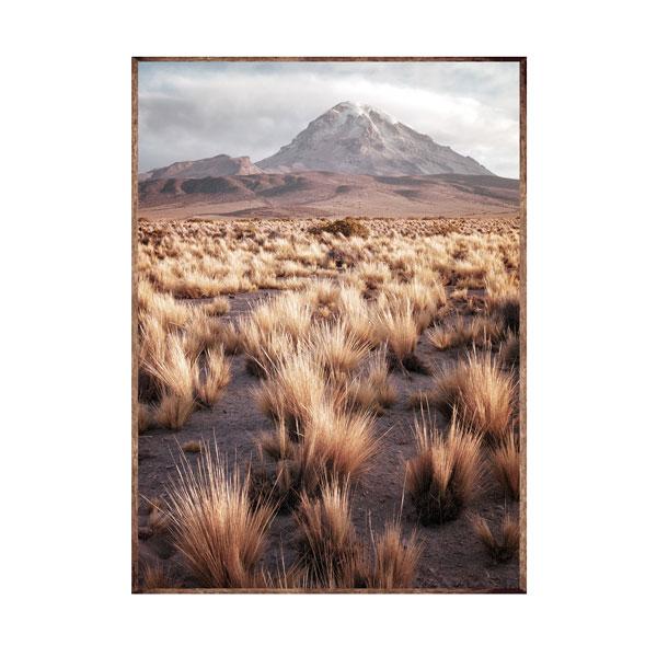 Jovic Trading Dry Grass Valley Framed Canvas Wood Grain Colour | Accessories | app store dev @@ABC ///[option4] 十月五日 11:53 