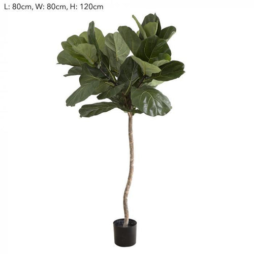 Florabelle 1.2m Fiddle Leaf Tree w/42 Lvs | Accessories | app store dev @@ABC 10/red/A one/[option4] 十月五日 11:53 