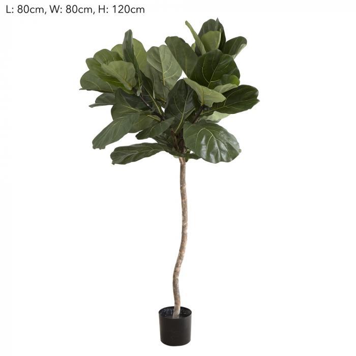 Florabelle 1.2m Fiddle Leaf Tree w/42 Lvs | Accessories | app store dev @@ABC 10/red/A one/[option4] 十月五日 11:53 
