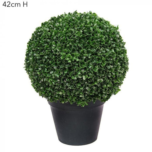 Florabelle Boxwood Ball Potted 42cm Green | Accessories | app store dev @@ABC ///[option4] 十月五日 11:53 