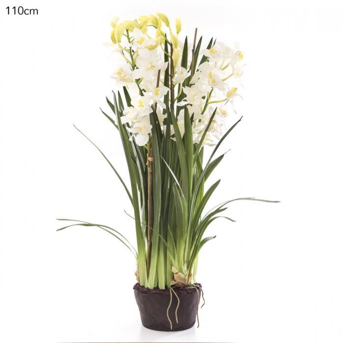 Florabelle Cymbidium Giant Paper Pot 110cm White | Accessories | app store dev @@ABC ///[option4] 十月五日 11:53 