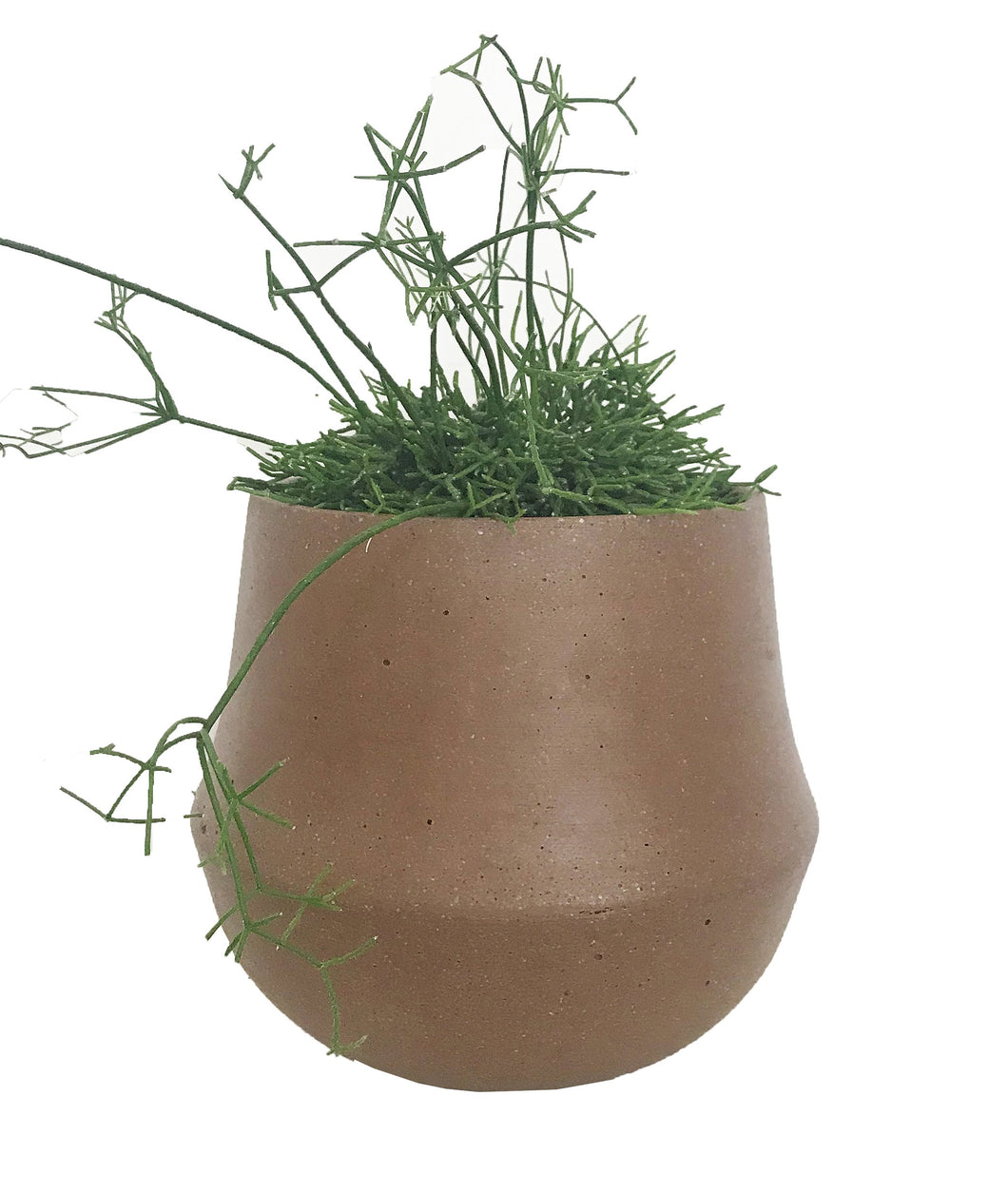 MRD Home Ana Planter Small Clay | Accessories | app store dev @@ABC ///[option4] 十月五日 11:53 