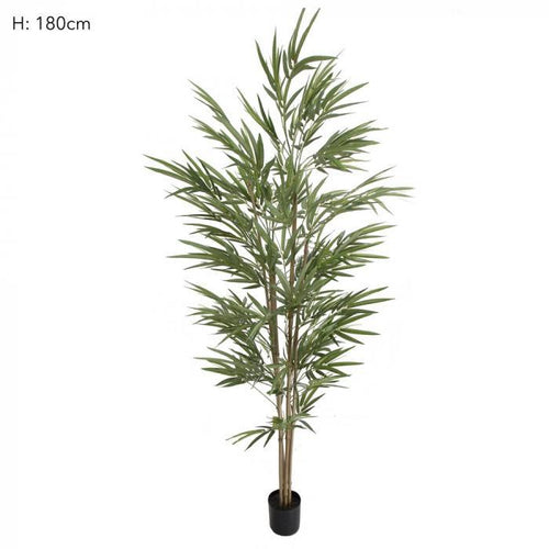 Florabelle Bamboo Tree Natural Trunk 1.8m 774 Lvs | Accessories | app store dev @@ABC ///[option4] 十月五日 11:53 