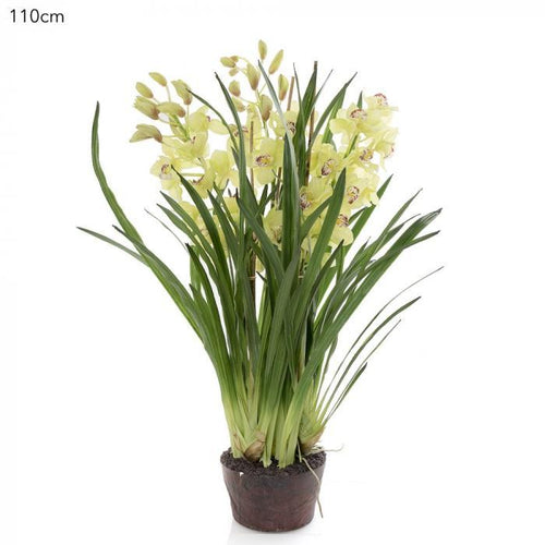Florabelle Cymbidium Giant Paper Pot 110cm Lt.Gre | Accessories | app store dev @@ABC ///[option4] 十月五日 11:53 