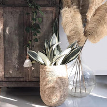 Load image into Gallery viewer, MRD Home Bahama Fiber Leaf Large - 2 Pack | Accessories | app store dev @@ABC ///[option4] 十月五日 11:53 
