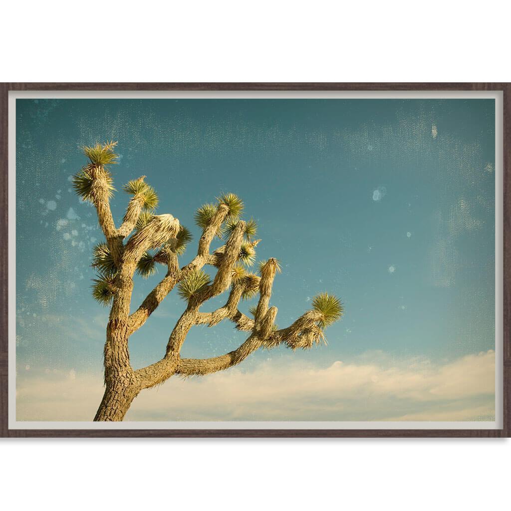 Bandhini Homewear Design Antique Yucca | Accessories | app store dev @@ABC ///[option4] 十月五日 11:53 