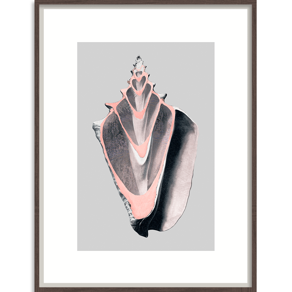 Bandhini Homewear Design Victorian Shells 5 - Wall Art | Accessories | app store dev @@ABC ///[option4] 十月五日 11:53 