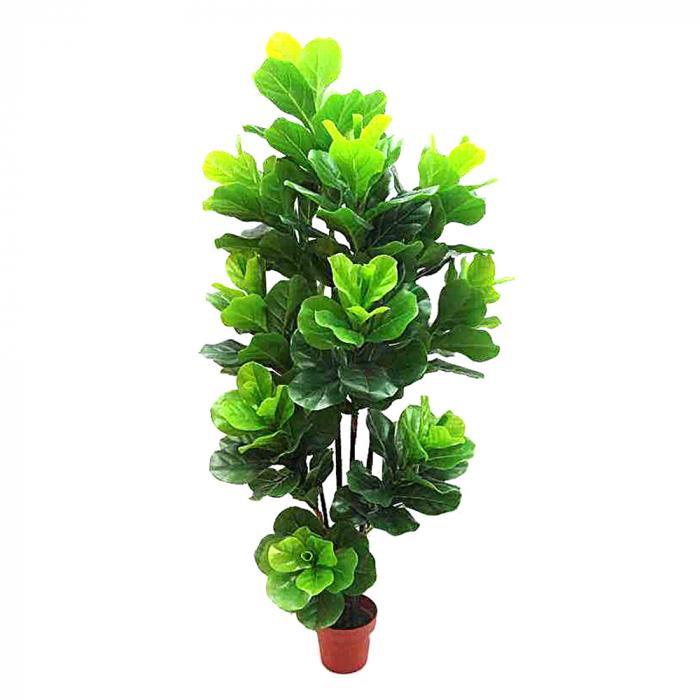 Florabelle Fiddle Leaf Tree 1.75m | Accessories | app store dev @@ABC ///[option4] 十月五日 11:53 