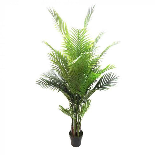Florabelle Areca Palm 1.7m Real Touch | Accessories | app store dev @@ABC ///[option4] 十月五日 11:53 