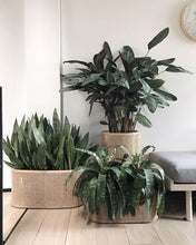 Load image into Gallery viewer, MRD Home Beliz Rattan Planter Small | Accessories | app store dev @@ABC ///[option4] 十月五日 11:53 
