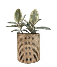 Load image into Gallery viewer, MRD Home Beliz Rattan Planter Small | Accessories | app store dev @@ABC ///[option4] 十月五日 11:53 
