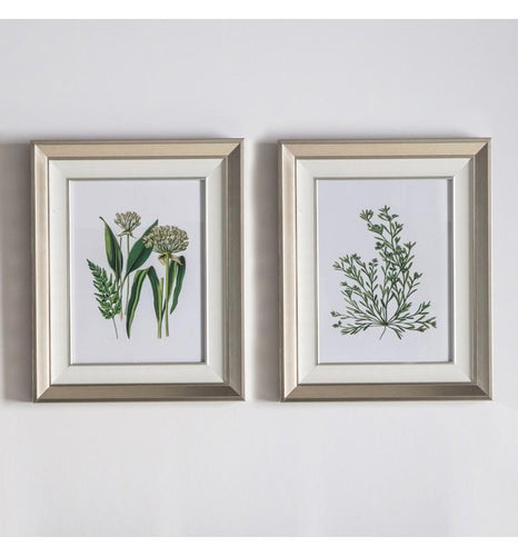 Bodhi Botanical Spring I Framed Art Set of 2 | Wall Art | app store dev @@ABC ///[option4] 十月五日 11:53 