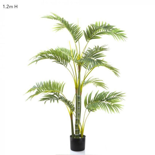 Florabelle Areca Palm Multi Trunk 1.2m | Accessories | app store dev @@ABC ///[option4] 十月五日 11:53 