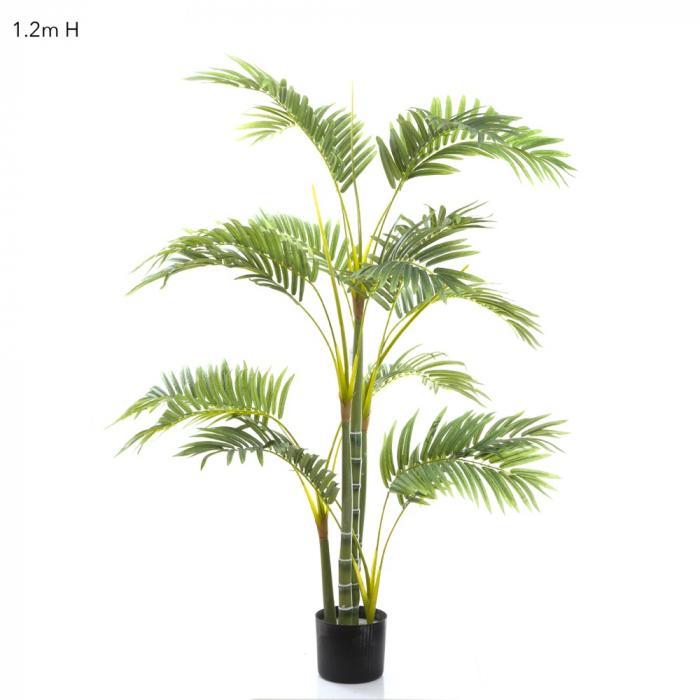 Florabelle Areca Palm Multi Trunk 1.2m | Accessories | app store dev @@ABC ///[option4] 十月五日 11:53 