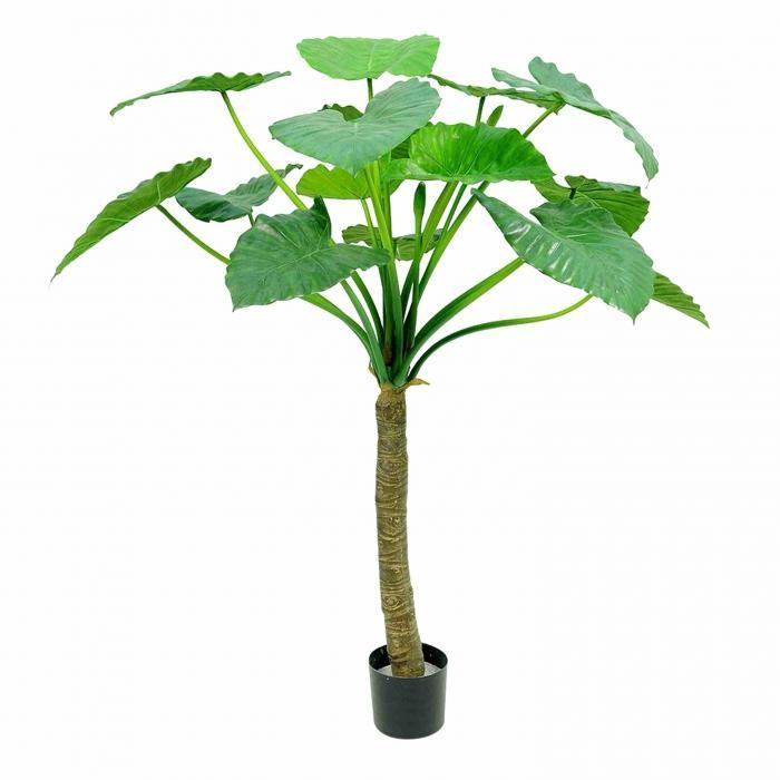 Florabelle Alocasia Calidora Tree 15 Lvs 135cm | Accessories | app store dev @@ABC ///[option4] 十月五日 11:53 