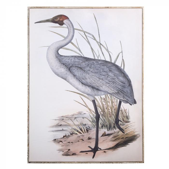 Florabelle Framed Wild Crane 113x83x3.5 | Accessories | app store dev @@ABC ///[option4] 十月五日 11:53 
