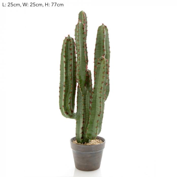 Florabelle Desert Cactus 82cm | Accessories | app store dev @@ABC ///[option4] 十月五日 11:53 