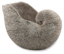 Load image into Gallery viewer, Home &amp; Giftware Cement Shell Planter | Accessories | app store dev @@ABC ///[option4] 十月五日 11:53 
