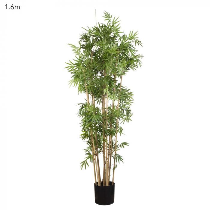 Florabelle Japanese Bamboo Tree 1.6m | Accessories | app store dev @@ABC ///[option4] 十月五日 11:53 