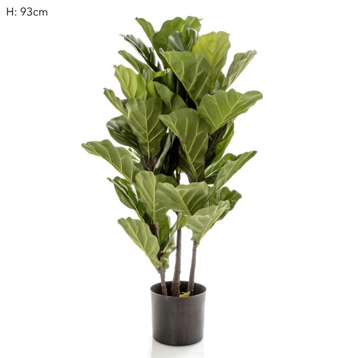 Florabelle 93cm Fiddle Leaf Tree x 3 w/45 Lvs | Accessories | app store dev @@ABC ///[option4] 十月五日 11:53 