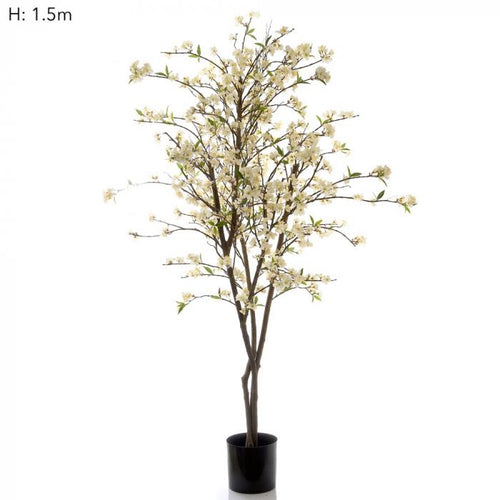 Florabelle Cherry Blossom Tree 152cm 252Lvs | Accessories | app store dev @@ABC ///[option4] 十月五日 11:53 