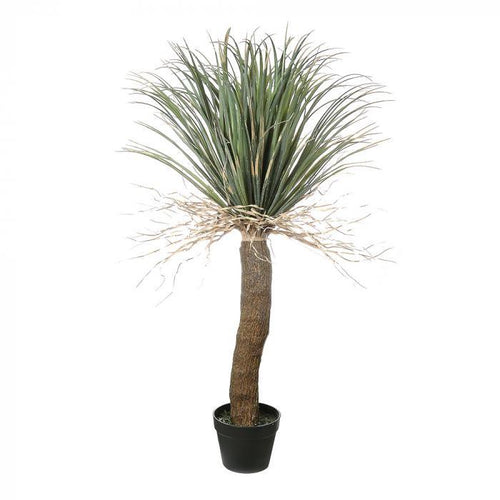 Florabelle Grass Tree Small | Accessories | app store dev @@ABC ///[option4] 十月五日 11:53 