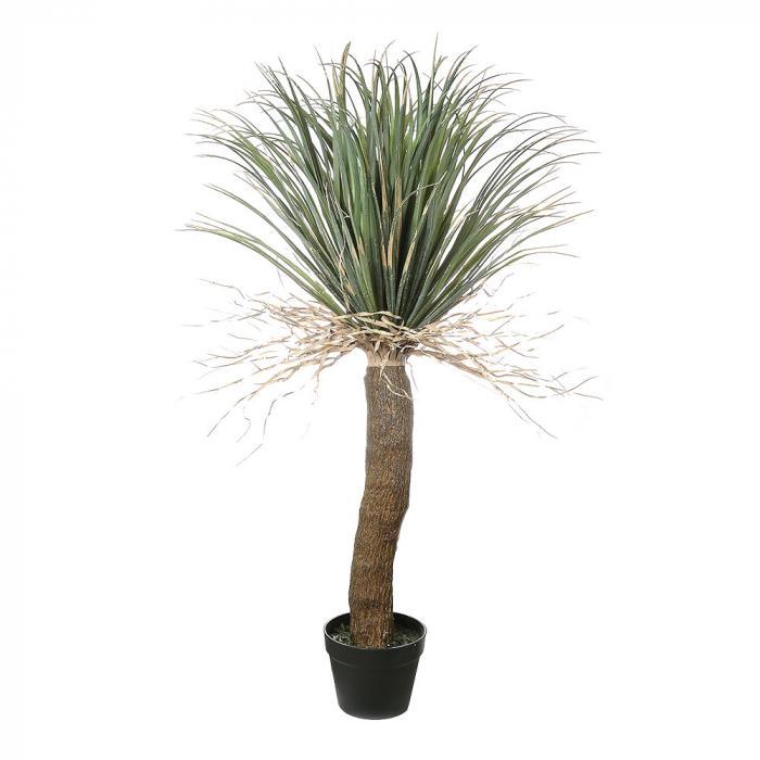 Florabelle Grass Tree Small | Accessories | app store dev @@ABC ///[option4] 十月五日 11:53 