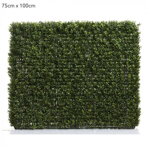 Florabelle Boxwood Hedge 75x100cm | Accessories | app store dev @@ABC ///[option4] 十月五日 11:53 