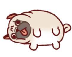 instagram cirkle configurable product 9324 2020新款SW装饰扣 真皮一字扣凉鞋 粗跟露趾中跟 舒适BH |  | app store dev @@ABC ///[option4] 十月五日 11:53 