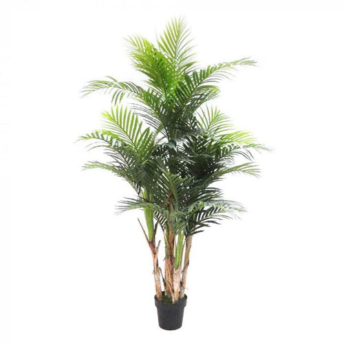 Florabelle Areca Palm Real Touch 1.9m | Accessories | app store dev @@ABC ///[option4] 十月五日 11:53 