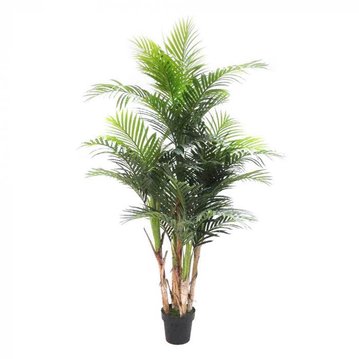 Florabelle Areca Palm Real Touch 1.9m | Accessories | app store dev @@ABC ///[option4] 十月五日 11:53 