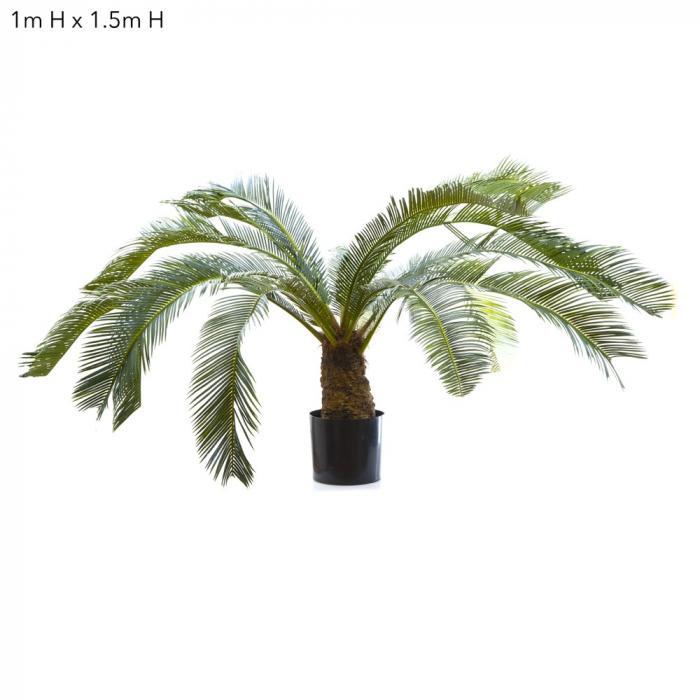 Florabelle Cycus Palm 1m W/15 Fronds | Accessories | app store dev @@ABC ///[option4] 十月五日 11:53 