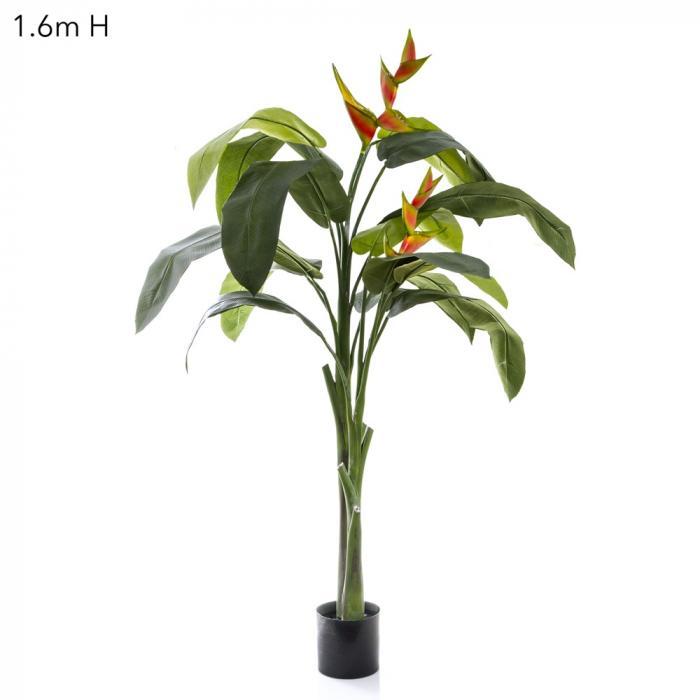 Florabelle Heliconia Plant 1.6m W/Flower | Accessories | app store dev @@ABC ///[option4] 十月五日 11:53 