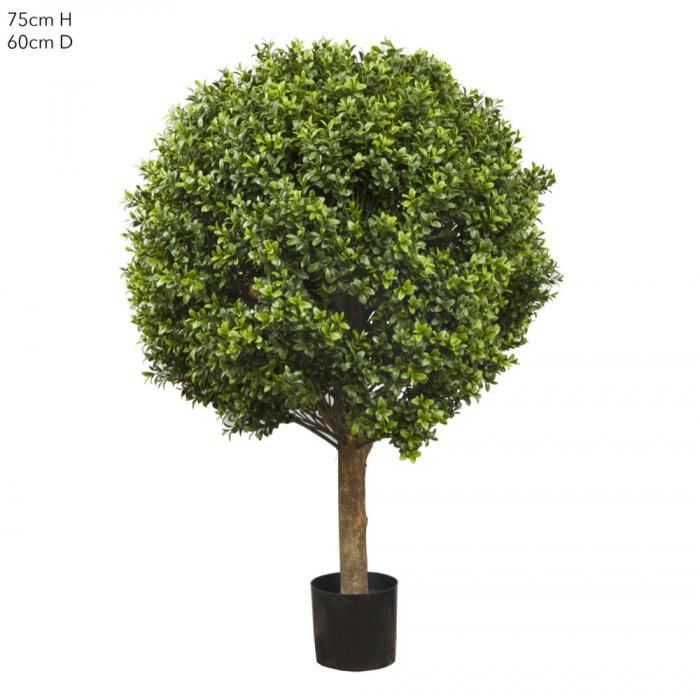 Florabelle Boxwood Ball Tree 75cm (Dia 60cm) | Accessories | app store dev @@ABC ///[option4] 十月五日 11:53 