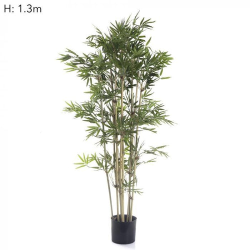 Florabelle Japanese Bamboo Tree x9 1.2m 1440Lvs | Accessories | app store dev @@ABC ///[option4] 十月五日 11:53 