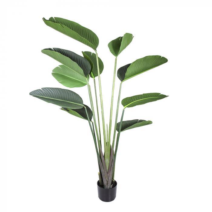 Florabelle 150cm Bird of Paradise Faux Tree + Pot | Accessories | app store dev @@ABC ///[option4] 十月五日 11:53 